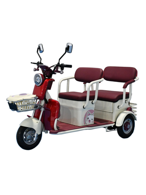 2 Passenger Electric Leisure Tricycle From China