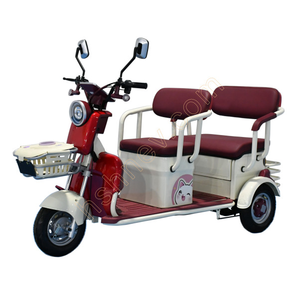 2 Passenger Electric Leisure Tricycle From China