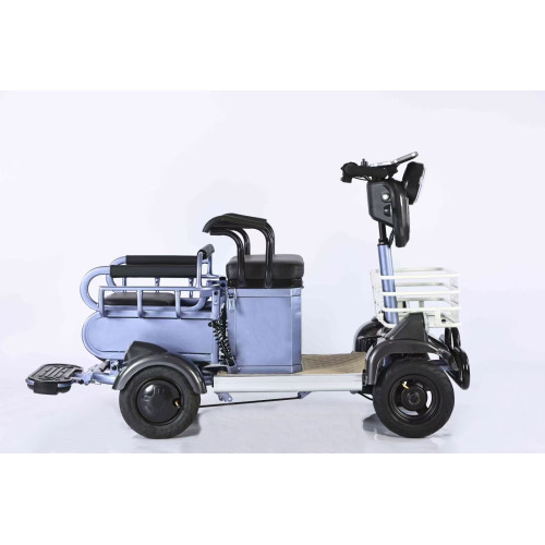 Mini 4-Wheels Electric Leisure Vehicle With Small Cargo