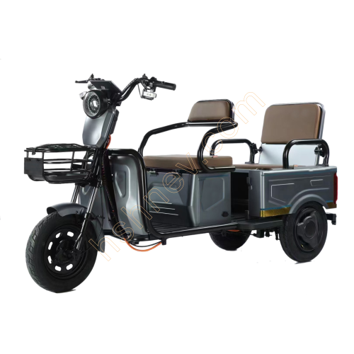 Electric Tricycle For Leisure