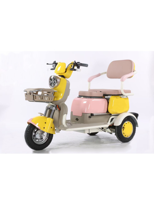 Electric Adult Leisure Tricycle Folding Design
