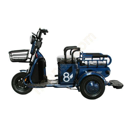 Mini Leisure Electric Tricycle for Elderly 