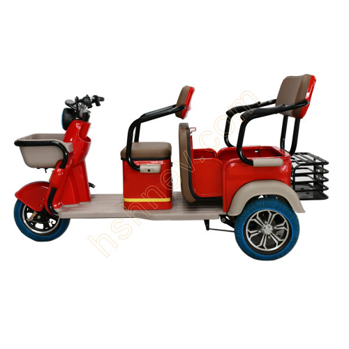 Leisure Electric 3 Wheel Passenger Tricycle 