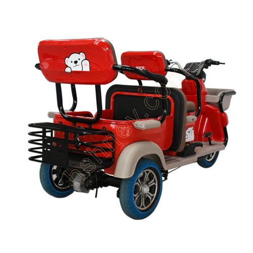 Leisure Electric 3 Wheel Passenger Tricycle 