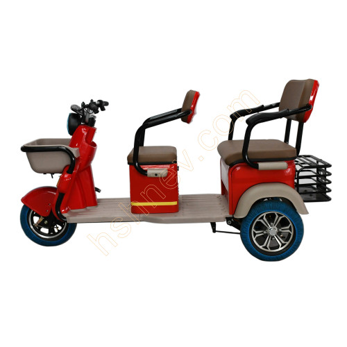 Leisure Electric 3 Wheel Passenger Tricycle 