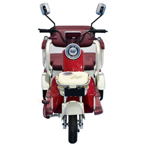 2 Passenger Electric Leisure Tricycle From China