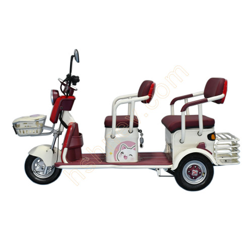 2 Passenger Electric Leisure Tricycle From China