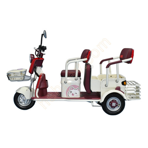 2 Passenger Electric Leisure Tricycle From China