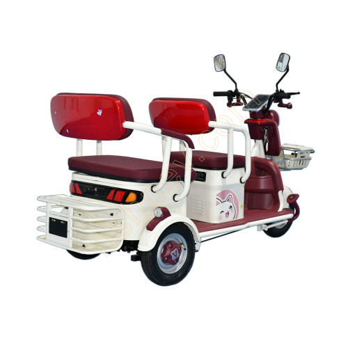 2 Passenger Electric Leisure Tricycle From China