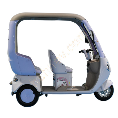  Leisure Electric Tricycle With Roof for Adult and Old Man
