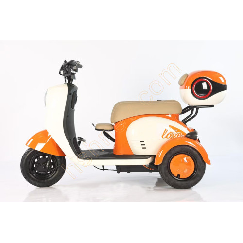 Leisure Electric Tricycle with Foldable Child Seat 