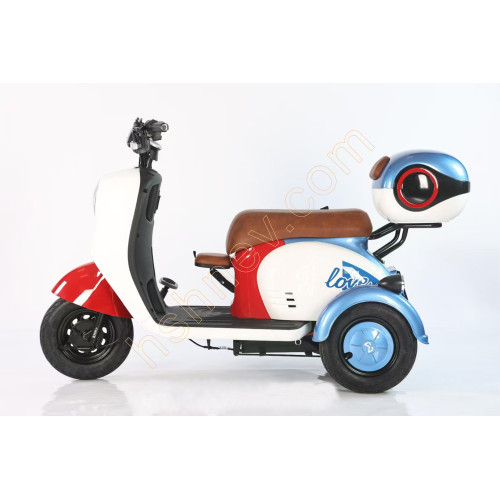 Leisure Electric Tricycle with Foldable Child Seat 