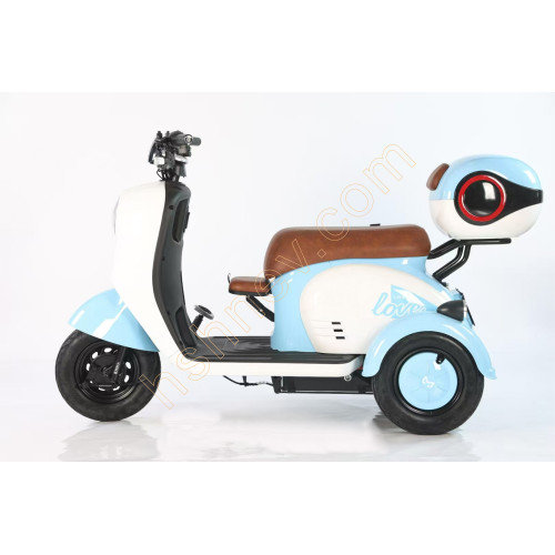Leisure Electric Tricycle with Foldable Child Seat 