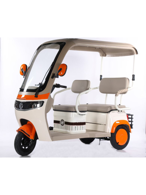 Electric leisure tricycle semi-closed