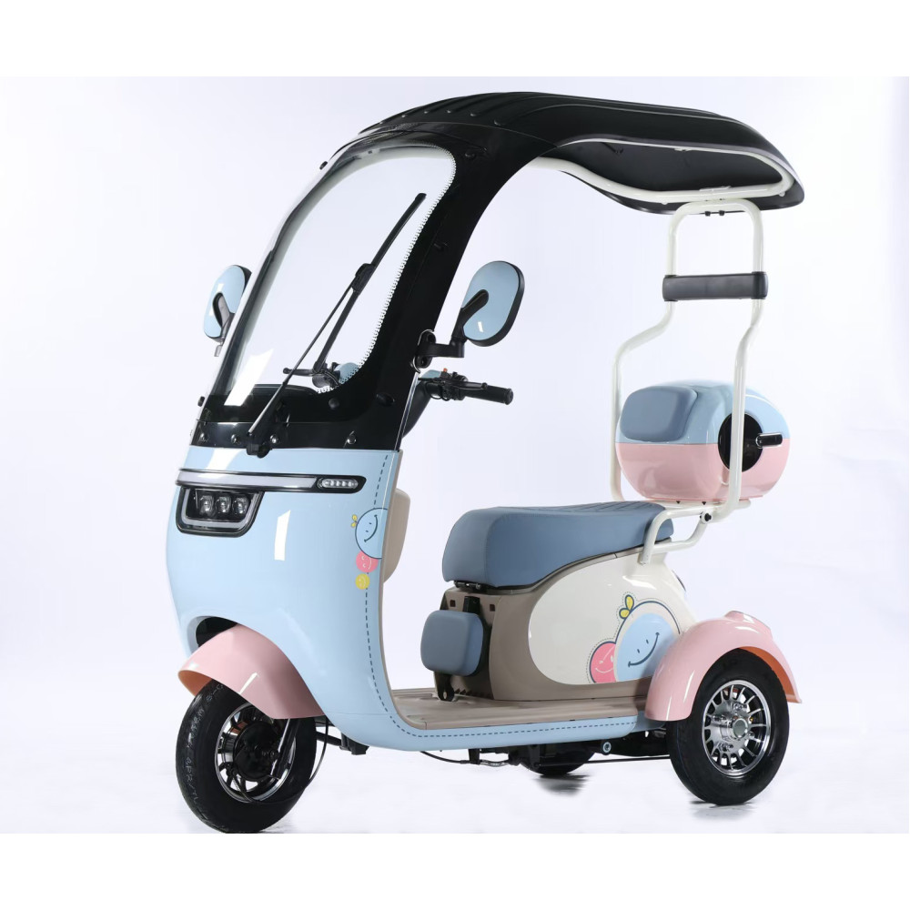 Electric Leisure Tricycle With Roof