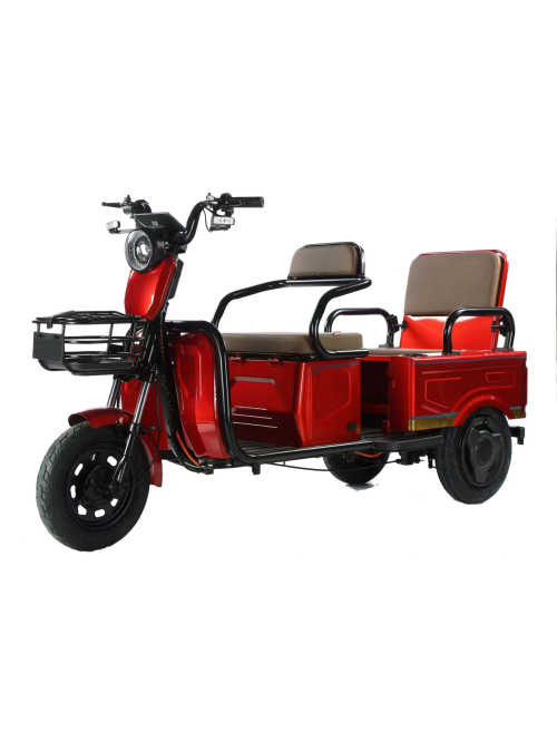 Electric Tricycle For Leisure