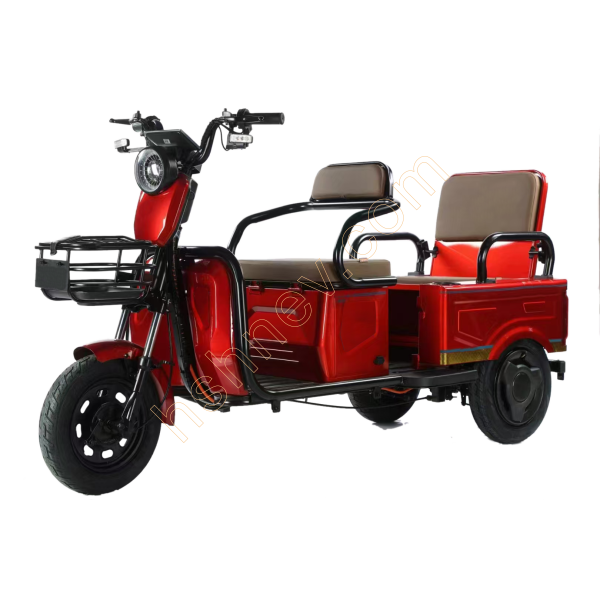 Electric Tricycle For Leisure