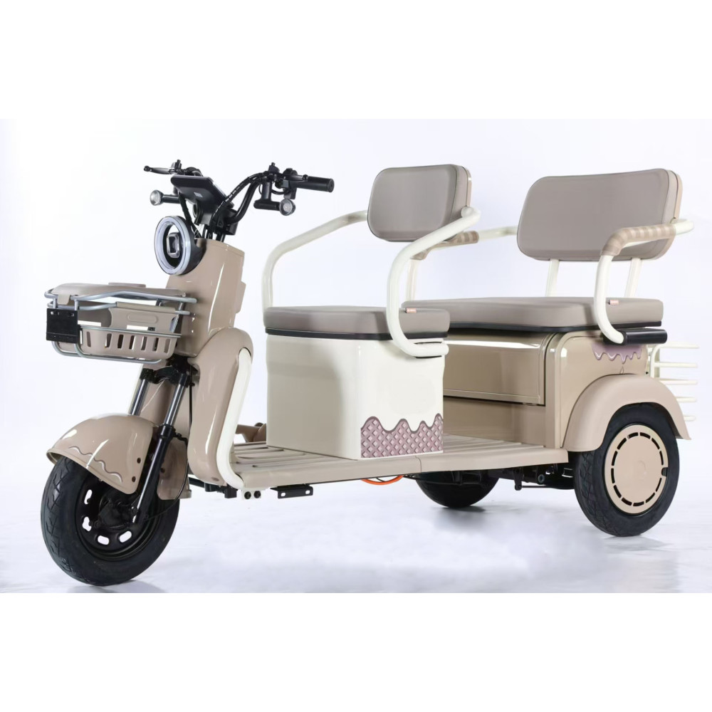 Electric Tricycle Leisure