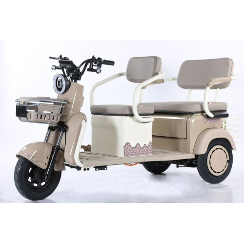 Electric Tricycle Leisure