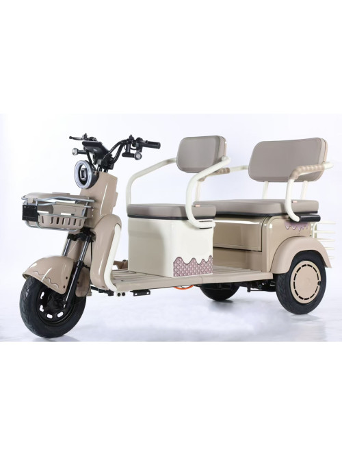 Electric Tricycle Leisure