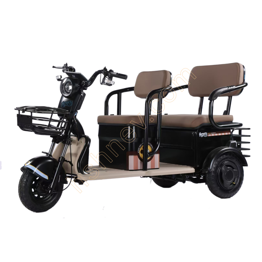 Electric Tricycle Open Leisure