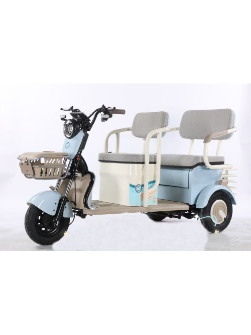 Electric Tricycle Open Leisure
