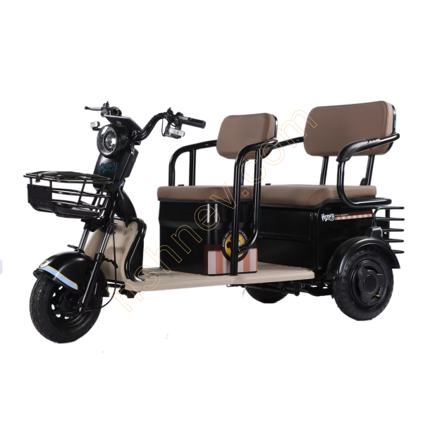 Electric Tricycle Open Leisure