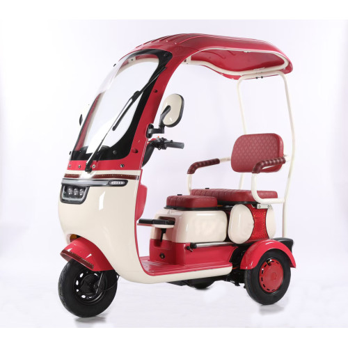 Electric Tricycle With Rainproof Roof
