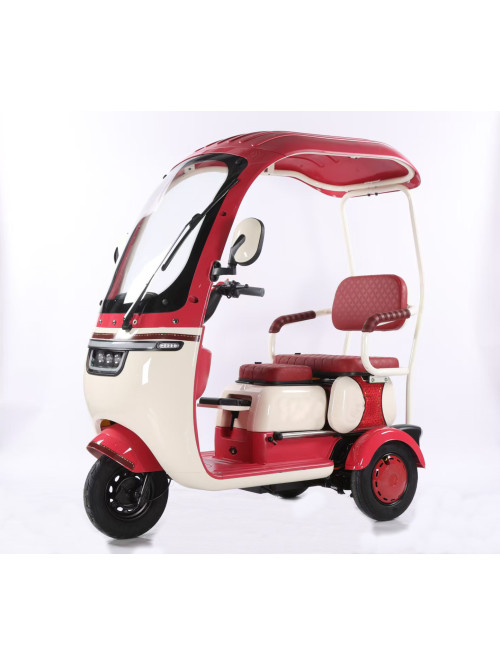 Electric Tricycle With Rainproof Roof
