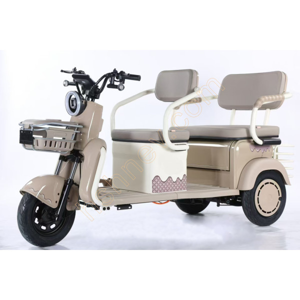 Leisure Electric Tricycle
