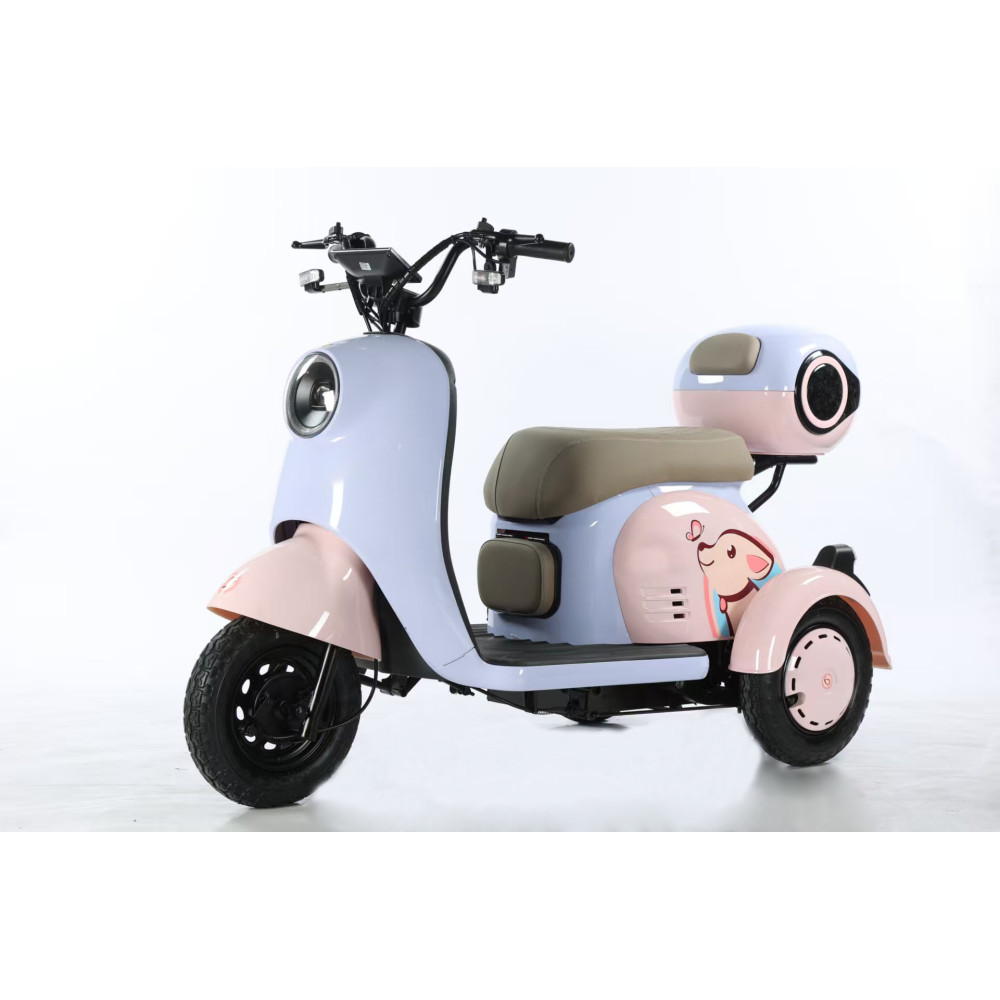 Leisure Electric Tricycle with Foldable Child Seat 