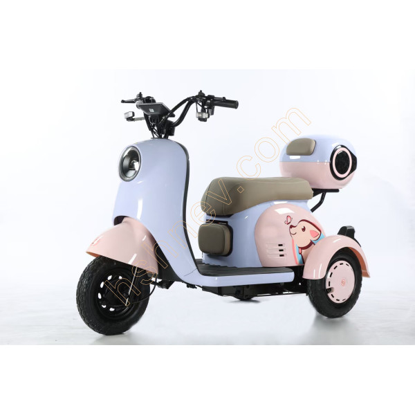 Leisure Electric Tricycle with Foldable Child Seat...