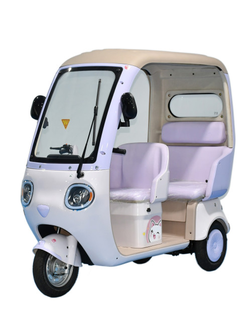  Leisure Electric Tricycle With Roof for Adult and...