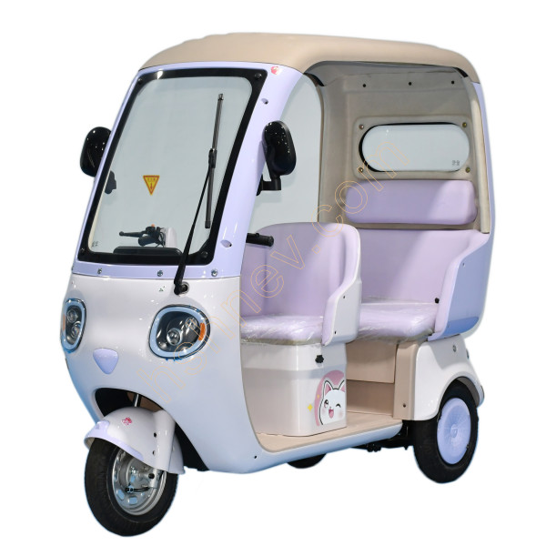  Leisure Electric Tricycle With Roof for Adult and...