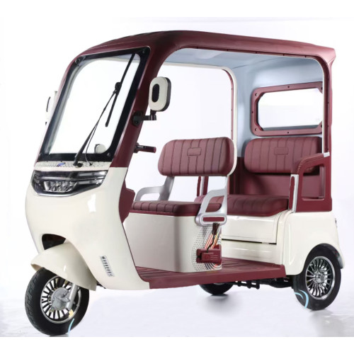  Leisure Electric Tricycle With Roof