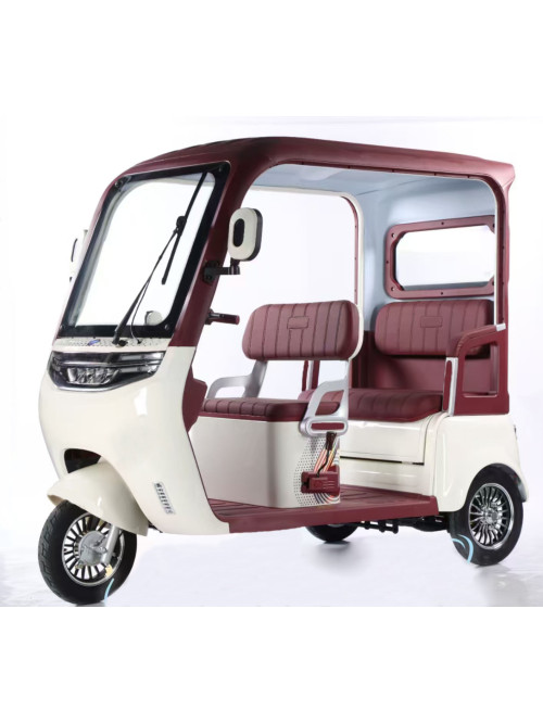  Leisure Electric Tricycle With Roof