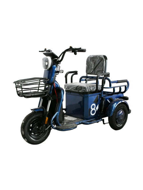 Mini Leisure Electric Tricycle for Elderly 