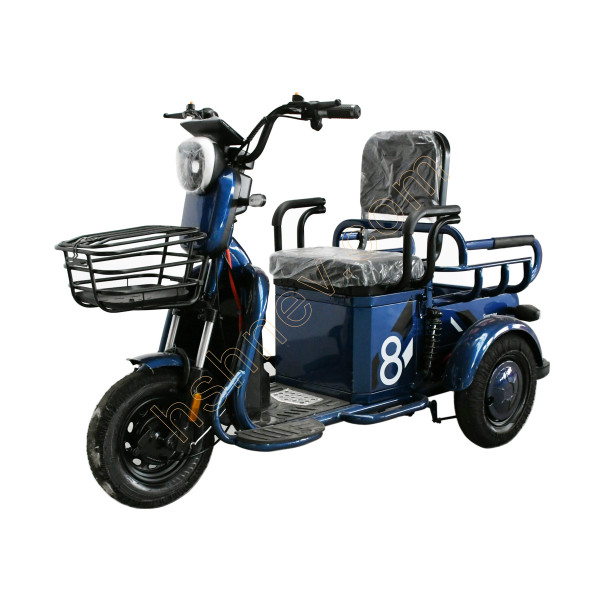 Mini Leisure Electric Tricycle for Elderly 