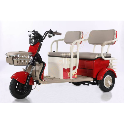 Electric Tricycle Open Leisure