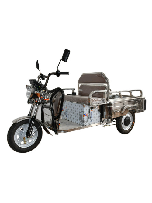 1.1M Small Stainless Steel Electric Tricycle