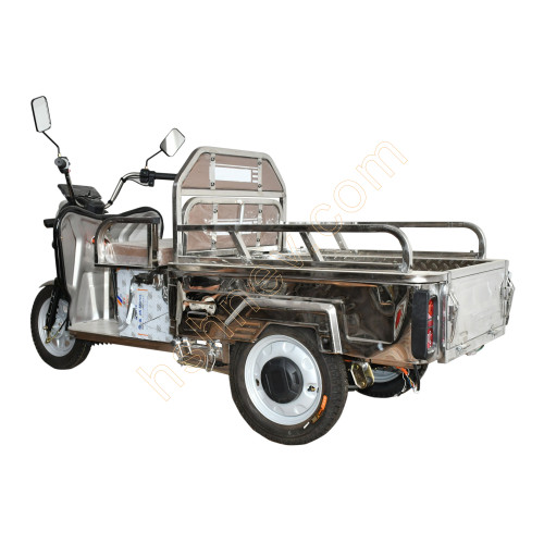 1.1M Small Stainless Steel Electric Tricycle